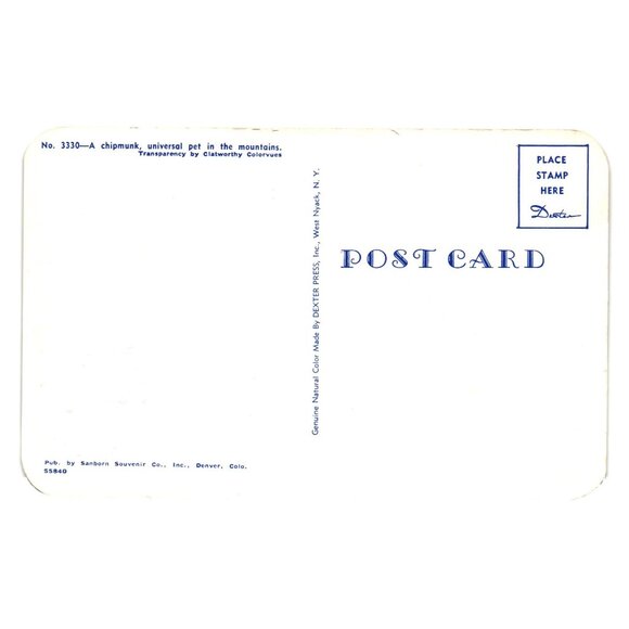 Vintage Chipmunk Postcard Universal Pet Mountains Genuine Dexter Press 3330 - Picture 2 of 2